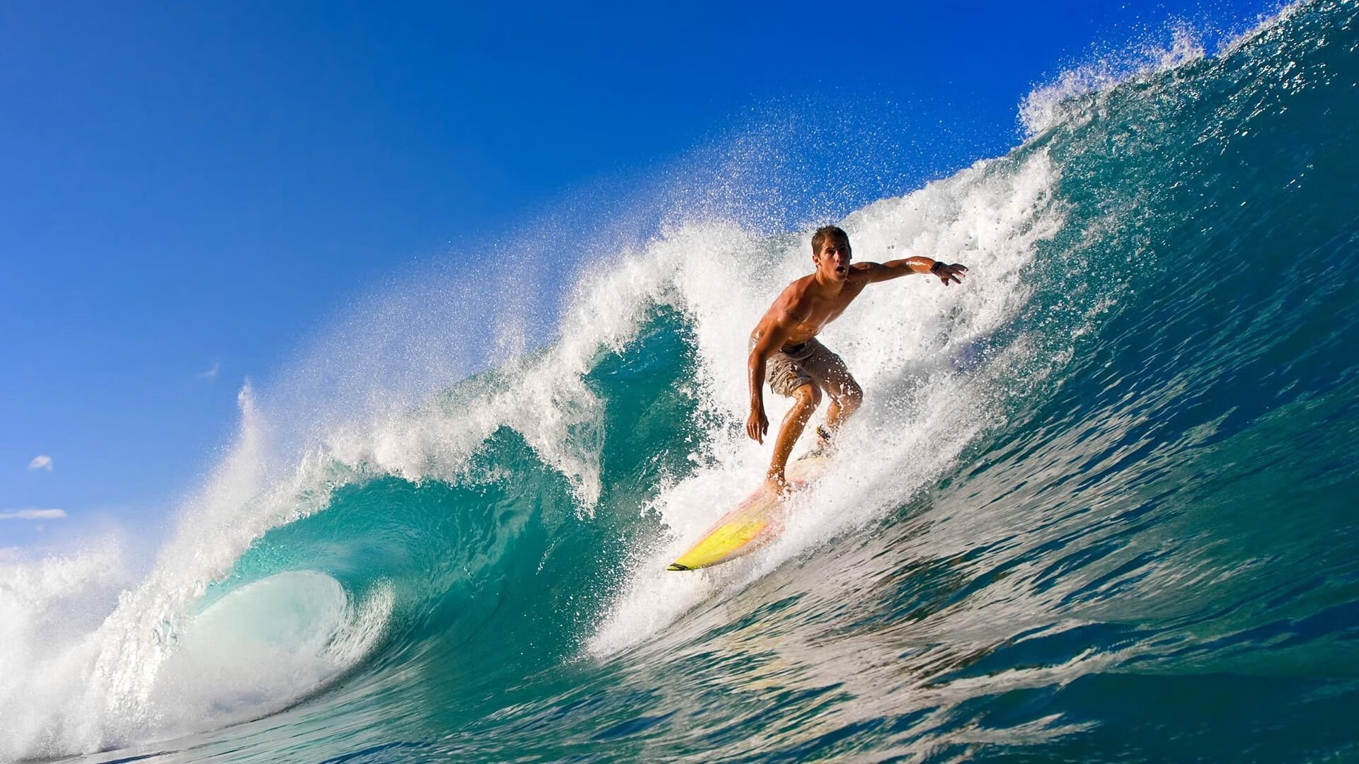 世界杯传奇球星故事，世界杯官方传记